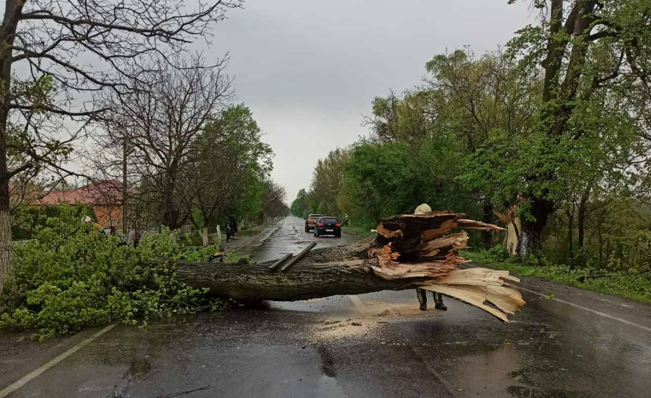 Ураган дождь. Ураган с дождем. Ливни ураган дерево. Дерево упало на ЛЭП. Ураган в Москве.