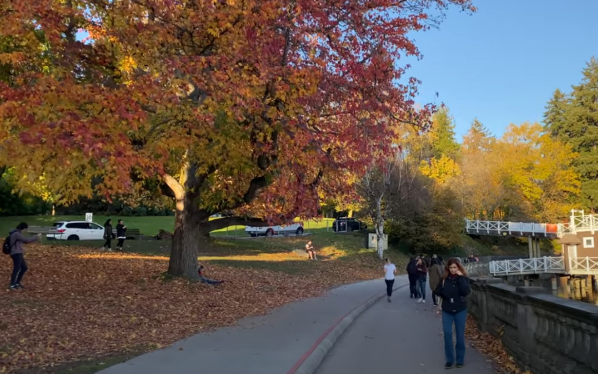 октябрь удивляет. павловский парк эдуард гордеев. октябрь удивляет. сентябрь надпись. роман вильфанд об осени.