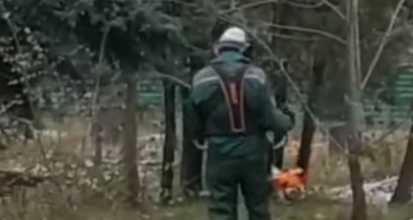 Харьковские коммунальщики решили покосить траву в мороз (фото)